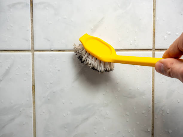 Mold Removal and Inspection in Coto De Caza, CA