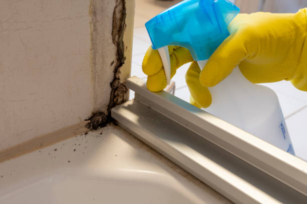 Best Mold Testing  in Coto De Za, CA
