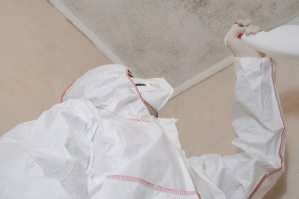 Best Commercial Mold Removal  in Coto De Za, CA