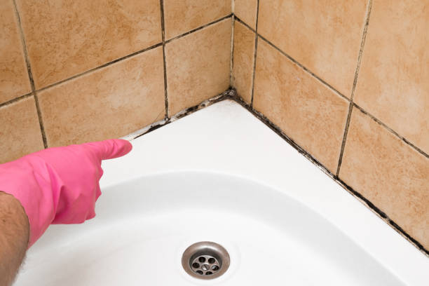 Crawl Space Mold Removal in Coto De Caza, CA